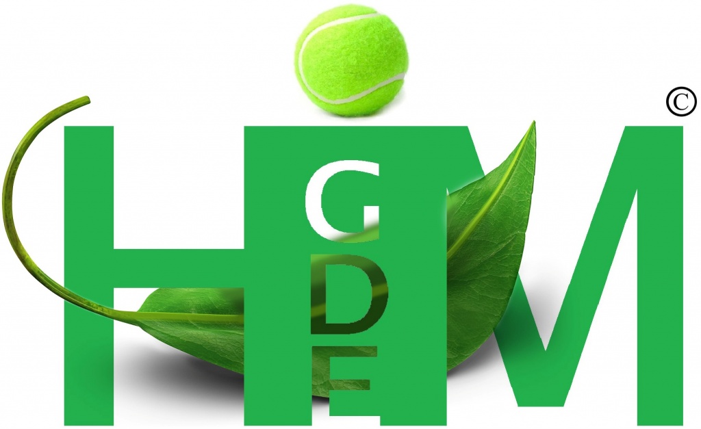 Дослідницький напрям HIM-GDE